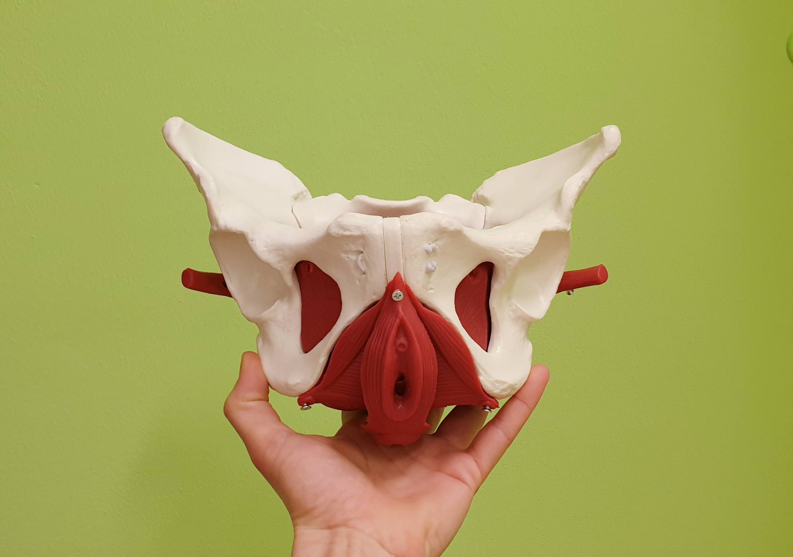 Nejlepší fyzioterapie V Praze